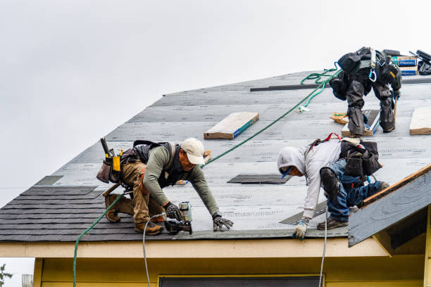 Professional Gutter Installation technician working in Encampment, WY